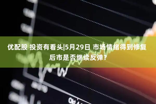 优配股 投资有看头|5月29日 市场情绪得到修复 后市是否继续反弹？
