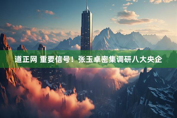 道正网 重要信号！张玉卓密集调研八大央企