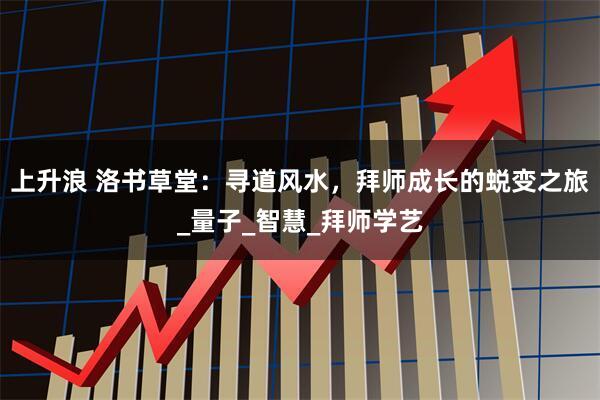 上升浪 洛书草堂：寻道风水，拜师成长的蜕变之旅_量子_智慧_拜师学艺