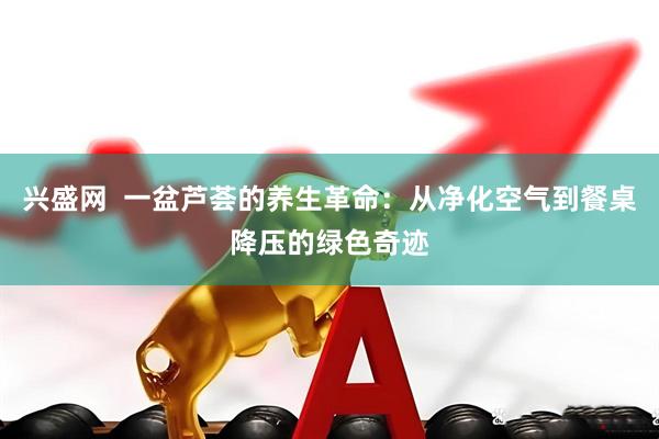 兴盛网  一盆芦荟的养生革命：从净化空气到餐桌降压的绿色奇迹