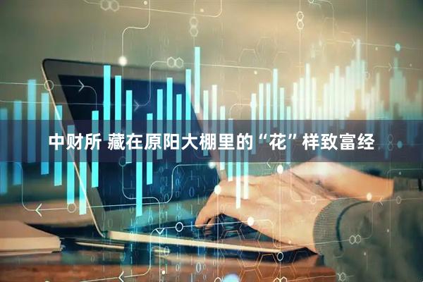 中财所 藏在原阳大棚里的“花”样致富经