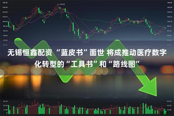 无锡恒鑫配资 “蓝皮书”面世 将成推动医疗数字化转型的“工具书”和“路线图”